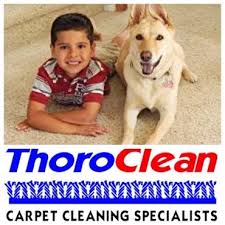 pet stains thoroclean carpet cleaning