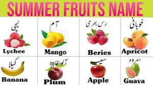 10 summer fruits name summer season