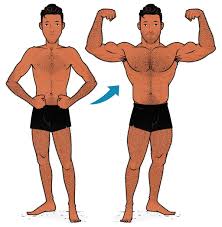 how two skinny guys gained muscle our