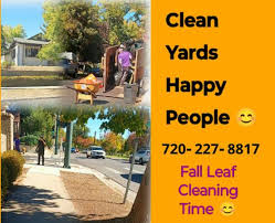 Yard Cleanups Fall Leaf Cleaning