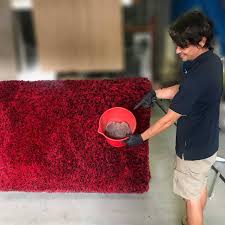 expert rug cleaning service gold coast