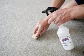 elite maintenance carpet cleaning