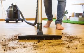 should you vacuum every day tips