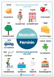 french feminine vs masculine