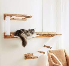 Cat Wall Shelves Large Wall Mounted