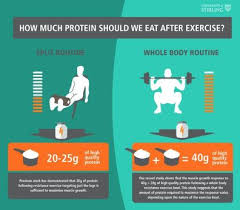 much protein do you need after exercise