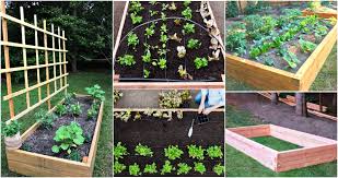 35 Diy Raised Garden Bed Ideas Free