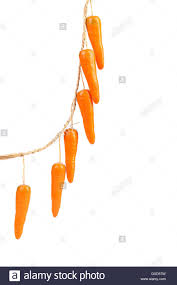 Artificial Carrot Like Chart Of Expansion Stock Photo