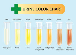 Color Chart Urine Stock Illustrations 32 Color Chart Urine