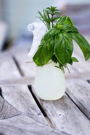 homemade herbal bug repellent spray