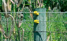 Weeds Got Your Electric Fence Power Down