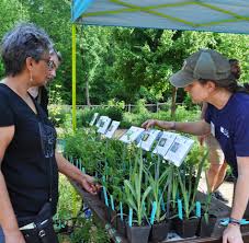 Native Plant Nurseries North Ina