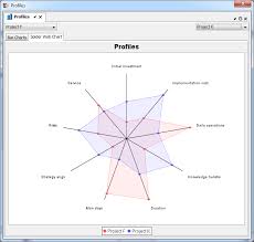 Profiles Spider Web Chart Vii Project Portfolio Management