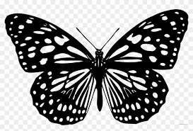 Please use and share these clipart pictures with your friends. Black And White Butterfly Animal Free Black White Clipart Butterfly Free Transparent Png Clipart Images Download