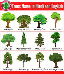 100 Trees Name In Hindi And English