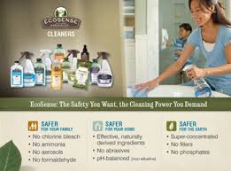 simple cleaning llc reviews
