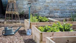 How To Build Plant A Raised Bed