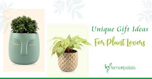 Unique Gift Ideas For The Plant