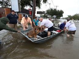 Image result for boats rescuing people