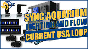 Sync Aquarium Lighting And Flow With The Current Usa Loop Youtube