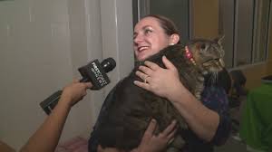 It is our goal to match homeless shelter pets with loving, forever homes. Sc Family Drove To Florida To Adopt 24 Lb Fat Cat Wcnc Com