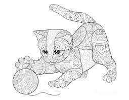 Hurt never kitten friend love caption 8977790976. 61 Cat Coloring Pages For Kids Adults Free Printables