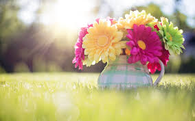 cute spring computer wallpapers hd free