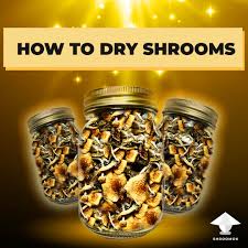 diffe approaches to drying shrooms