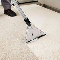 carpet cleaning papakura pest