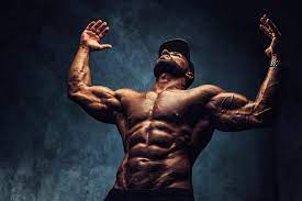 the pro bodybuilding workout how to
