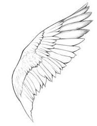 How To Draw Angel Wings Step By Step With Animation Art