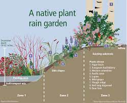 Rain Gardens 101 Lecture