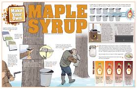 Maple Syrup Interactive