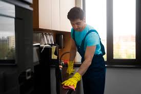 arlington maverick maids cleaning
