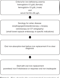 Figure 1 From Iron Deficiency Anemia In Older Adults A