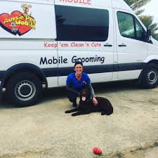 Services offered by dog grooming near me professionals. Aussie Pet Mobile Soco Maine Mobile Grooming For Cats Dogs