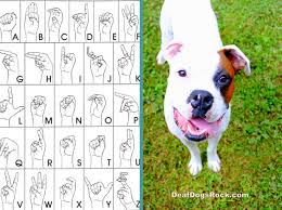 Deaf Dogs Beginning Sign Training Chart From Deafdogsrock