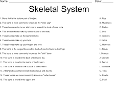 Skeletal System Worksheet Wordmint