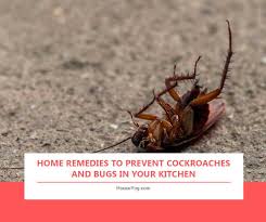 home remes to prevent roaches in