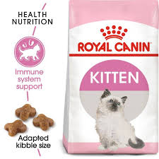 royal canin kitten persian cat food