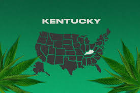 Kentucky marijuana card helps qualifying kentucky patients obtain the their medical marijuana card. Is Weed Legal In Kentucky Homegrown Cannabis Co