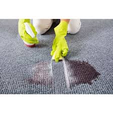 shaws carpets and upholstery cleaning