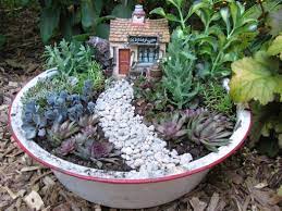 10 Dish Garden Ideas Dish Garden