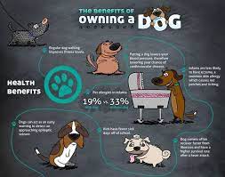 Benefits To Owning A Dog gambar png