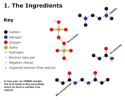 an easy sds page gel recipe 10 step