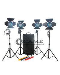 4pcs 650w Fresnel Tungsten Light Video Continuous Lighting Came Tv