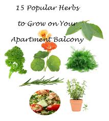 Grow On Your Apartment Balcony