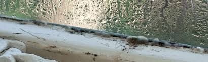 Tenants legal help   condensation and damp   The Landlord Law Blog AXA UK