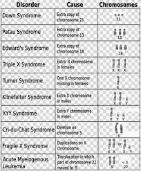Chromosomal Disorders Chromosomal Disorders Biology