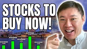 top 5 dividend stocks in sg to now